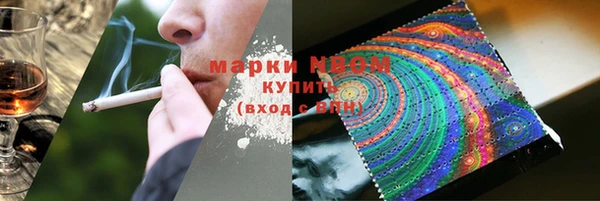 ПСИЛОЦИБИНОВЫЕ ГРИБЫ Заволжье
